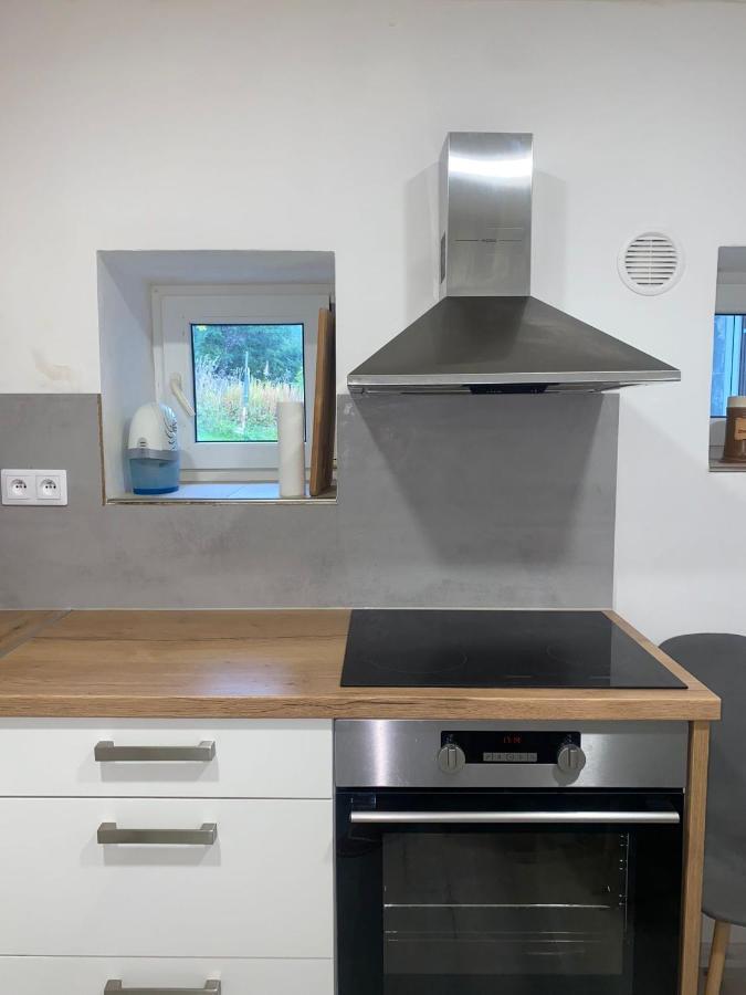 Apartman Pod Vlekem Horní Malá Úpa Εξωτερικό φωτογραφία